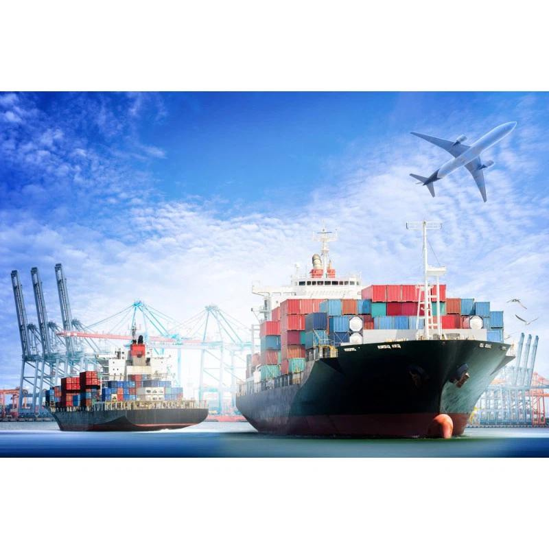 Sea Freight To Door